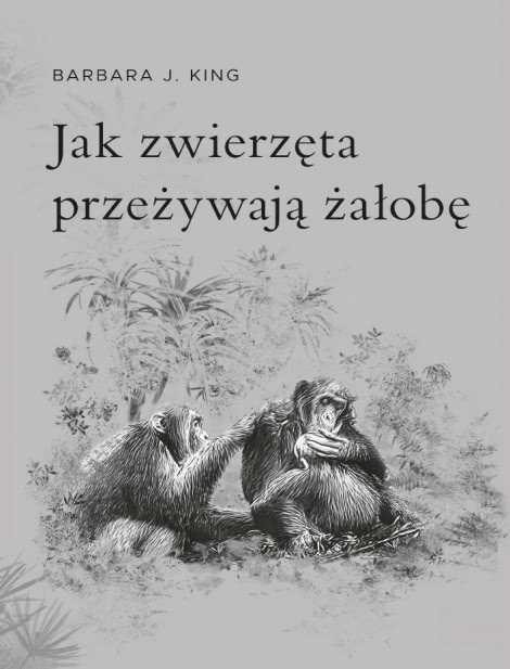 Jak Zwierzęta Przeżywają Żałobę