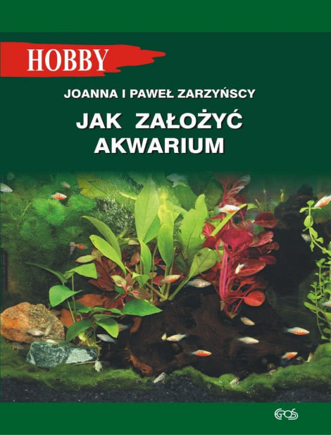 Jak Założyć Akwarium